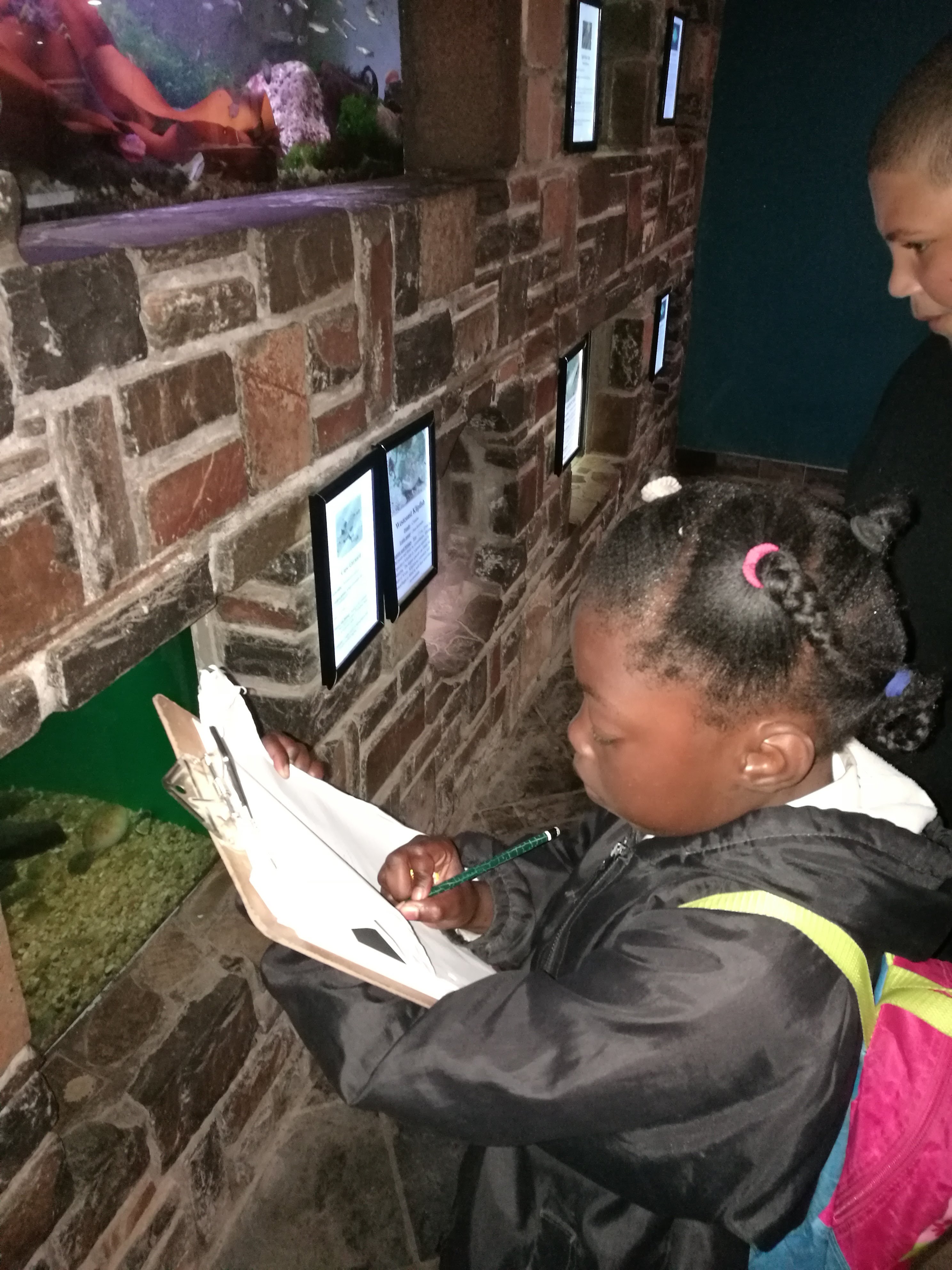 Aquarium visit - marine life observation